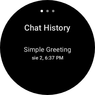 Conversation History
